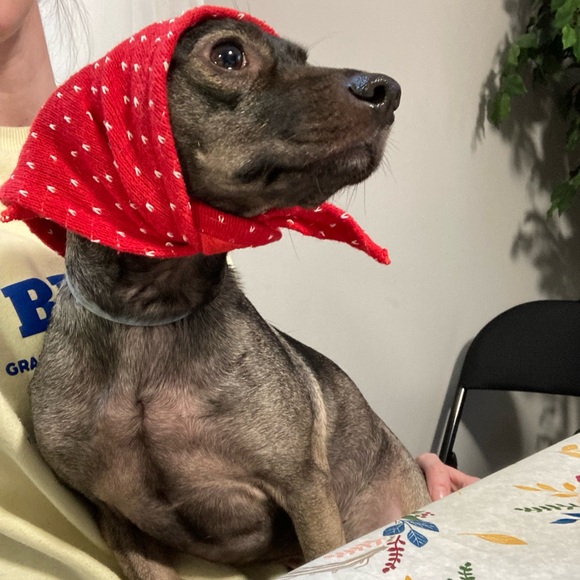 Meet your Poshers Beth & Sophie ๐ธ๐พ - Picture 3 of 8